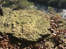 Mound Bottom