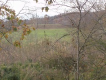 Mound Bottom