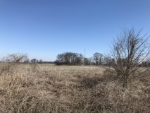 Christmas Mound