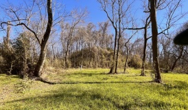 Anna Mound Complex