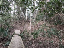 Blakeley Indian Mounds