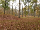 Shiloh Indian Mounds