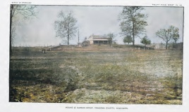 Carson Mounds, Mississippi | Megalithic Portal