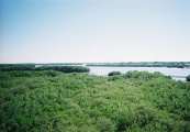 Weedon Island Preserve submitted by AKFisher