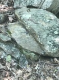 Crowders Mountain stones