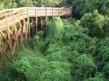 Turtle Mound