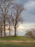 Cypress Grove Mound