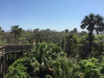 Turtle Mound
