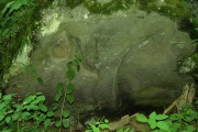 Sculptured Stone near Robbinsville - PID:48369