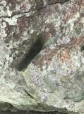 Crowders Mountain stones
