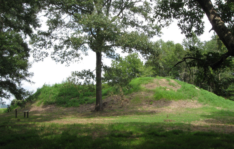 Pinson Mounds - Twin Mounds