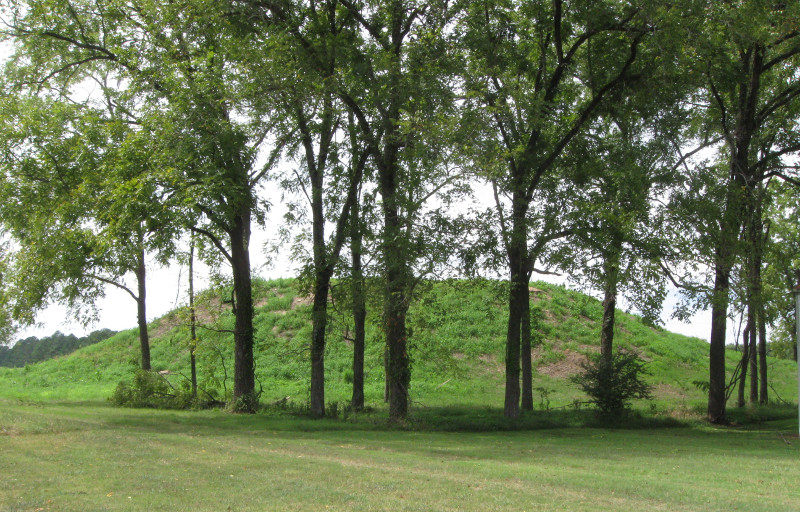 Pinson Mounds - Ozier Mound