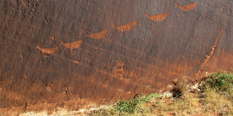 Click for the gallery page to add comments and vote (PID:98837) Glen Canyon - Descending Sheep Panel Petroglyph Site