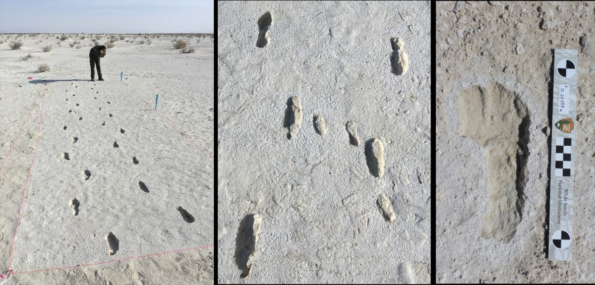 Fossilized Footprints - White Sands National Park