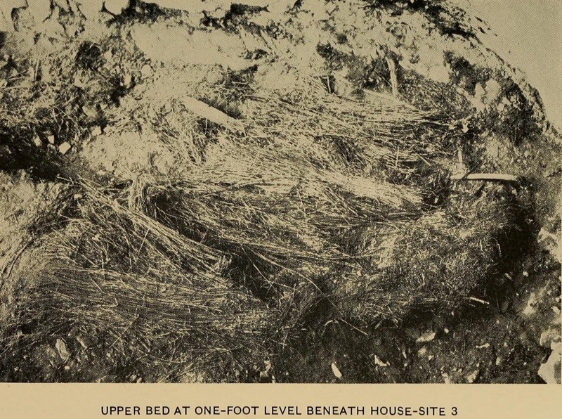 Click for full size image of Bee Cave Canyon (PID:102941) Bee Cave Canyon