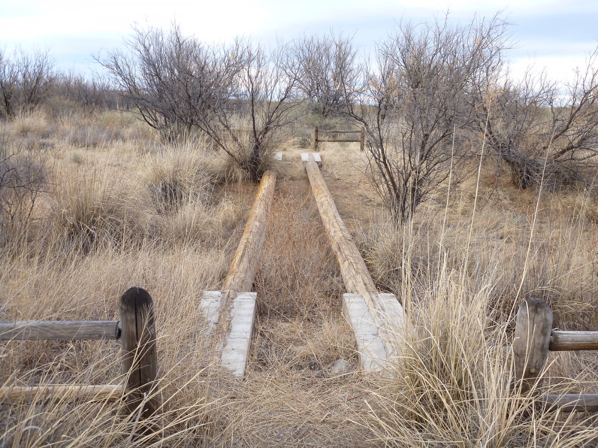 Murray Springs [Murray Springs Clovis Site] Ancient Village or ...