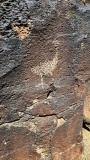 La Cieneguilla Petrolyphs