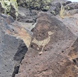 La Cieneguilla Petrolyphs