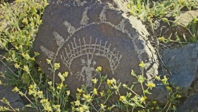 Coso Petroglyphs