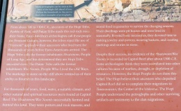 Fruita Petroglyphs