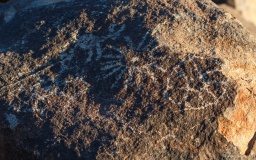 Signal Hill Petroglyphs
