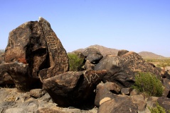 Painted Rock Petroglyph Site