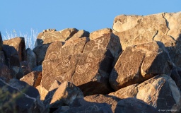 Signal Hill Petroglyphs