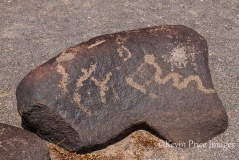 Painted Rock Petroglyph Site