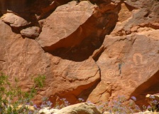 Fort Pearce Wash Petroglyphs