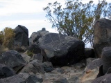 Three Rivers Petroglyphs