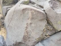 Coso Petroglyphs