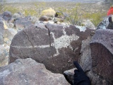 Three Rivers Petroglyphs