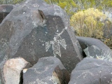 Three Rivers Petroglyphs - PID:84670