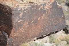 Newspaper Rock (Petrified Forest)