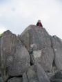 Three Rivers Petroglyphs