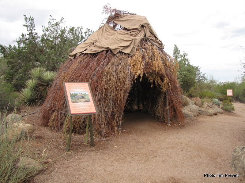 Desert Botanical Gardens