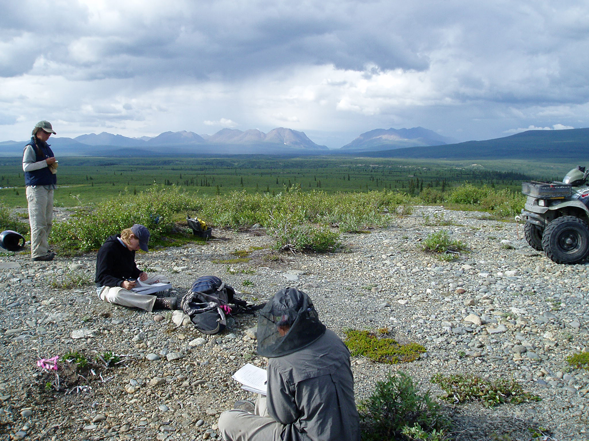 Tangle Lakes Archaeological District