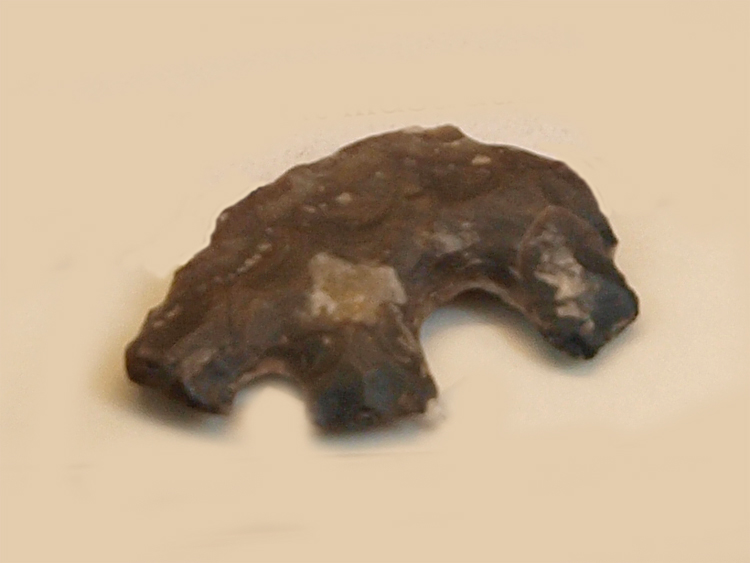 Click for full size image of Scotts Valley City Hall Artifact Display (PID:77457) Scotts Valley City Hall Artifact Display