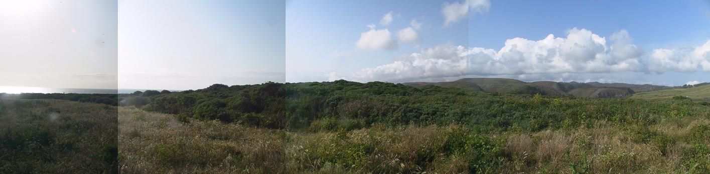 Click for full size image of Sand Hill Bluff Shellmound (PID:55382) Sand Hill Bluff Shellmound