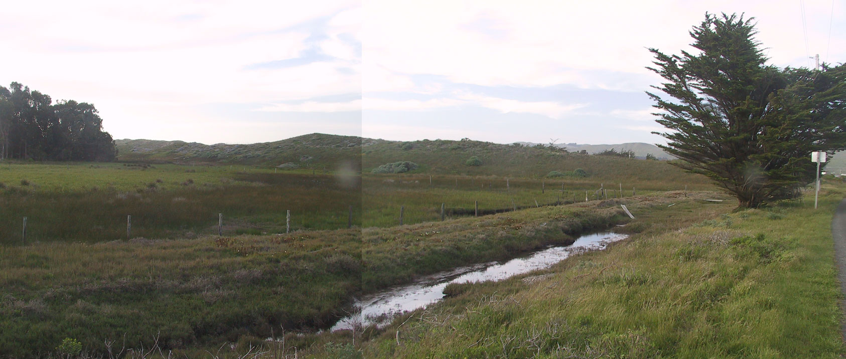 Click for full size image of Bodega Harbor Shellmound (PID:56503) Bodega Harbor Shellmound