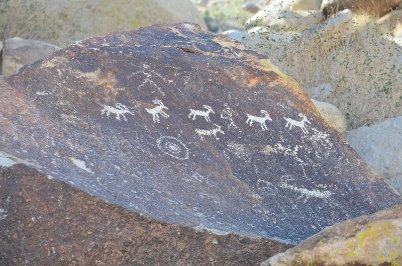 Grapevine Canyon