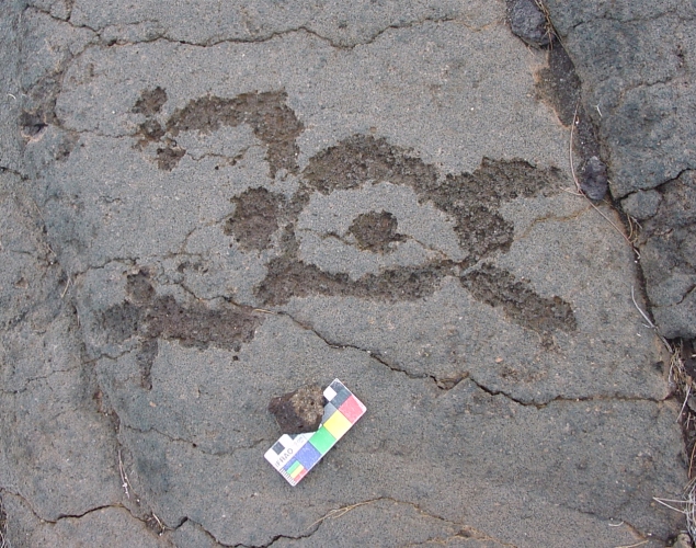 Click for full size image of Waikoloa Petroglyph Field (PID:110314) Waikoloa Petroglyph Field