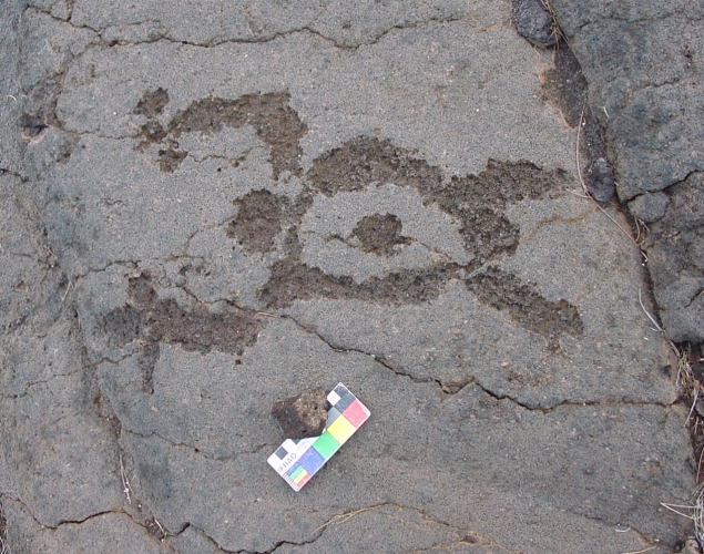 Waikoloa Petroglyph Field