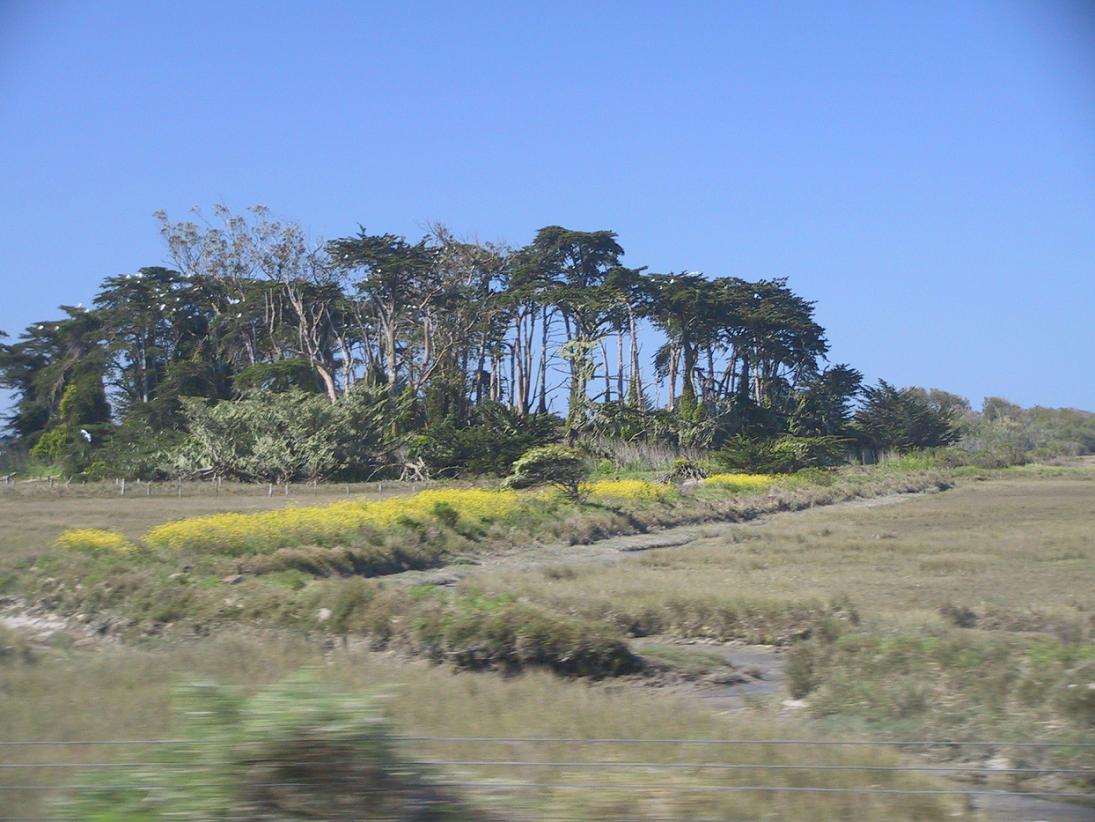 Indian Island Shellmounds