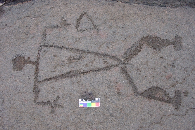 Waikoloa Petroglyph Field