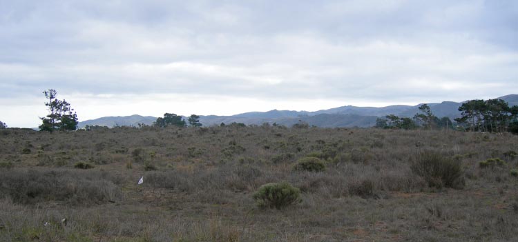 Click for the gallery page to add comments and vote (PID:36575) Los Osos Back Bay