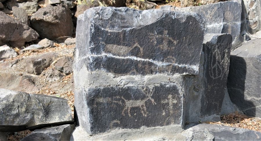 Vantage Petroglyphs: Native American rock art located near Columbia River in Central Washington State, U.S. Removed from original site, which is now covered by the waters of Wanapum Reservoir.