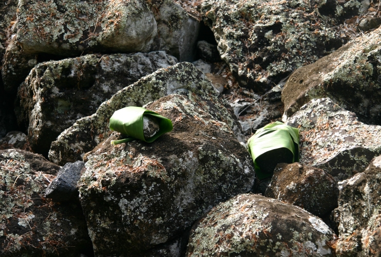 Offerings laid down at the Ulupō heiau