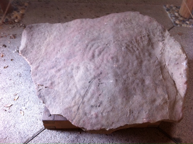 Ohlone petroglyph on display in interpretative shelter.