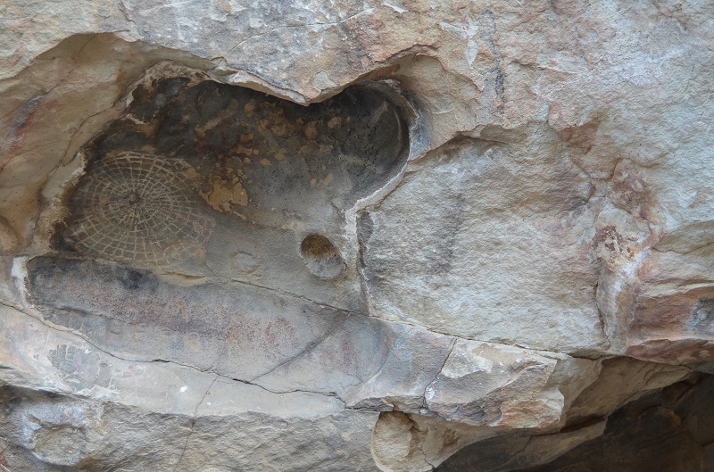 Painted Rock, Carrizo Plain